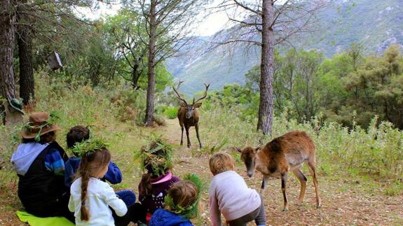 Ojén transforma un antiguo parque de caza en la sierra en Reserva Ecológica